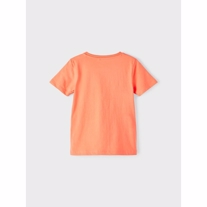 NAME IT Tee Victor Peach Echo